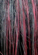 ds11 drawstring